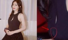 明星黑料最新 体育圈是干净的吗,揭秘明星黑料背后的真相，究竟是否干净？